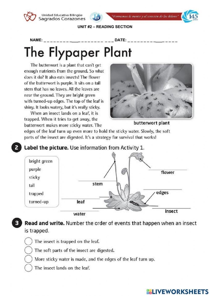 Pick a Flower Pictograph worksheet for Second Grade