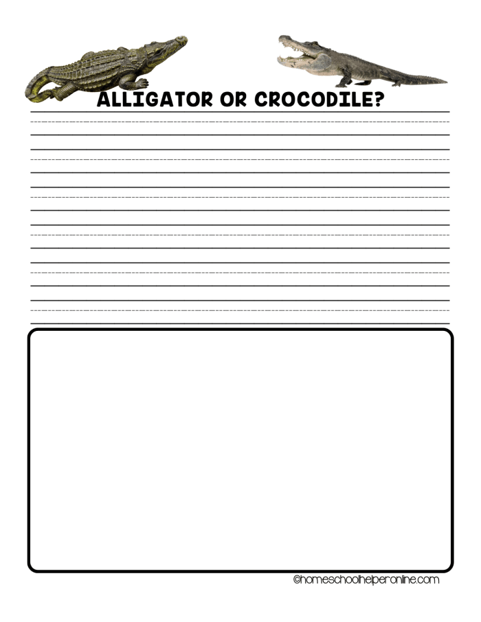 Alligator vs Crocodile Addition Worksheet for Third Grade Number 11 Third grade math worksheet featuring addition practice with alligator and crocodile facts