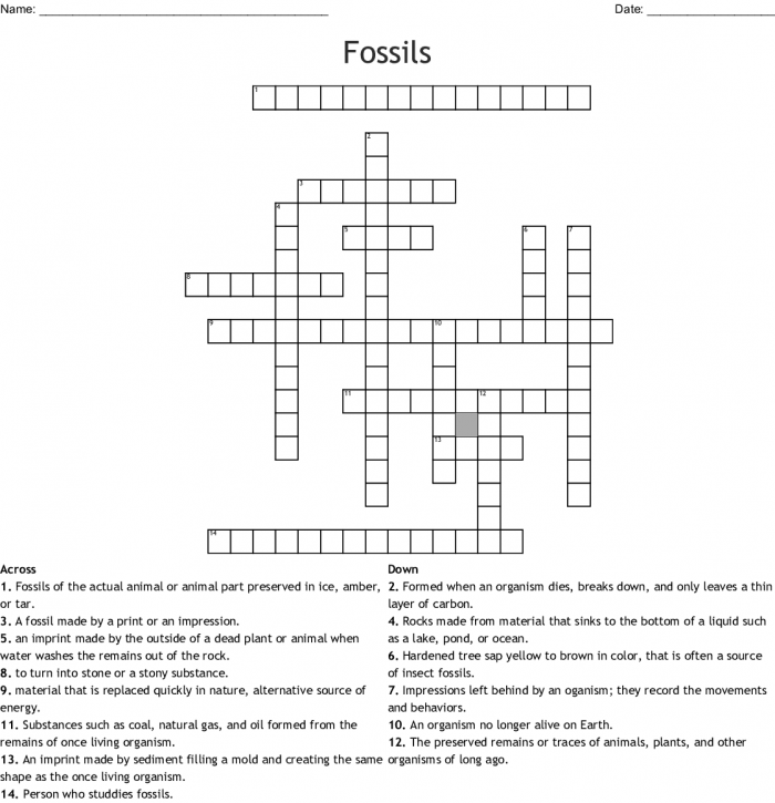Third grade science students solving a crossword puzzle about prehistoric fossils and extinct creatures