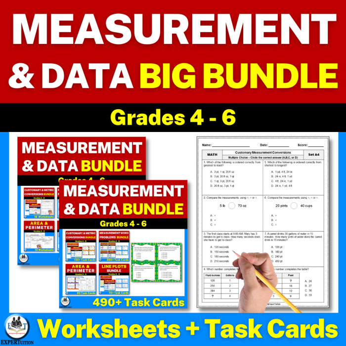 Measurement & Data Check-Up worksheet for third graders assessing algebra skills