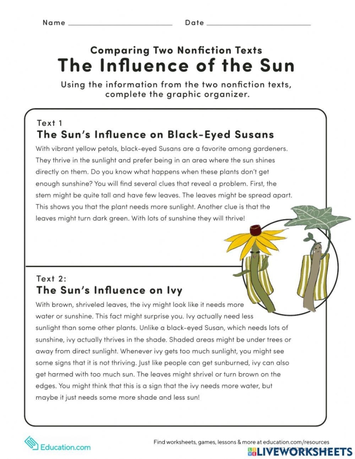 Worksheet for comparing two nonfiction texts aimed at third graders