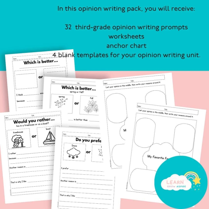 Opinion Writing Assessment Resource 18 for Elementary Students Third grade opinion writing check-up worksheet with prompt and response lines for assessing student writing skills