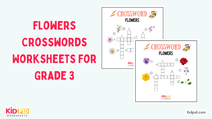 Third grade vocabulary crossword puzzle worksheet with spelling challenges for elementary students