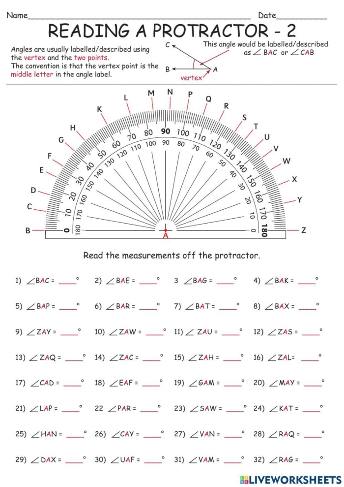 Protractor Practice worksheet designed for fourth graders to enhance measurement skills