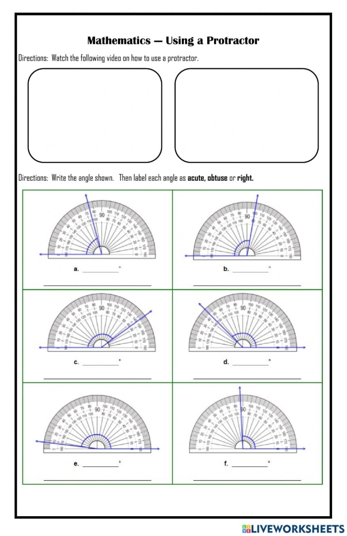 Protractor practice worksheet designed for fourth-grade measurement skills