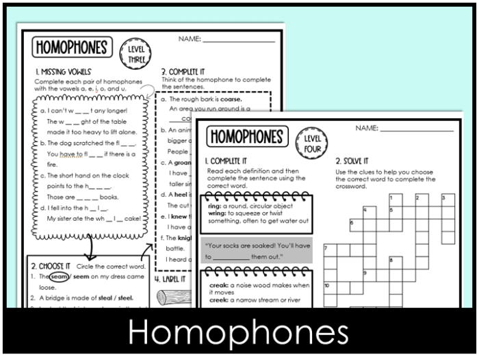 Engaging grammar activity for students to practice homonyms in a fill-in-the-blanks format Tricky Homophones worksheet for fourth graders focusing on words like piece and peace