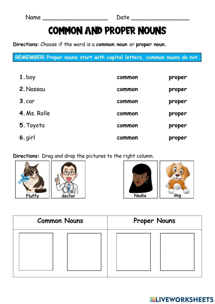 Fourth grade worksheet showing common and proper nouns exercise with example sentences and fill-in activities for grammar practice