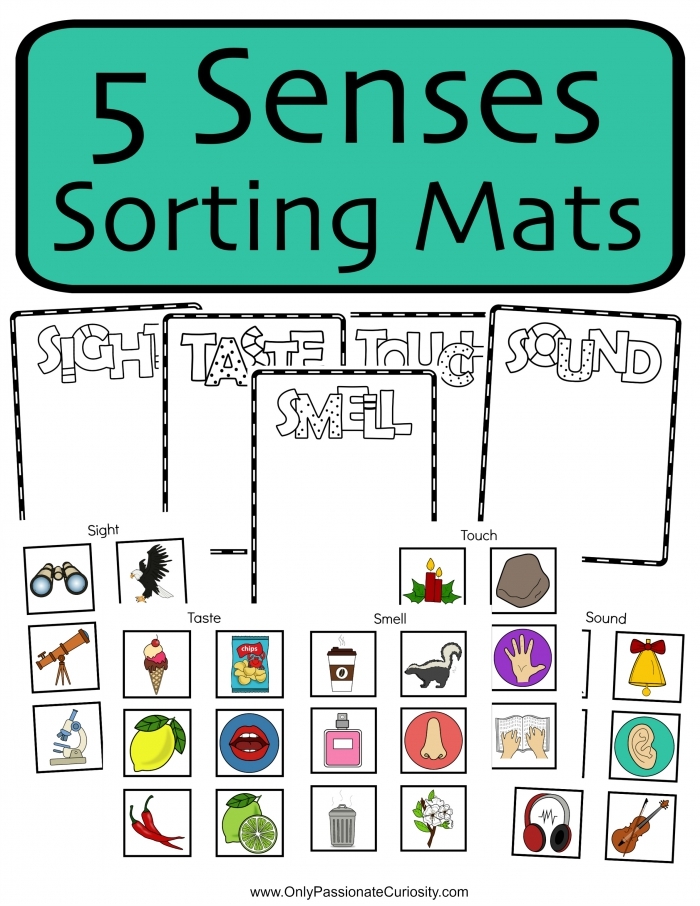 Life Science worksheet for Kindergarten Worksheet for matching taste words to images, designed for kindergarten students learning about the five senses. Engaging 5 Senses: Taste Matching worksheet for early learners in life science.