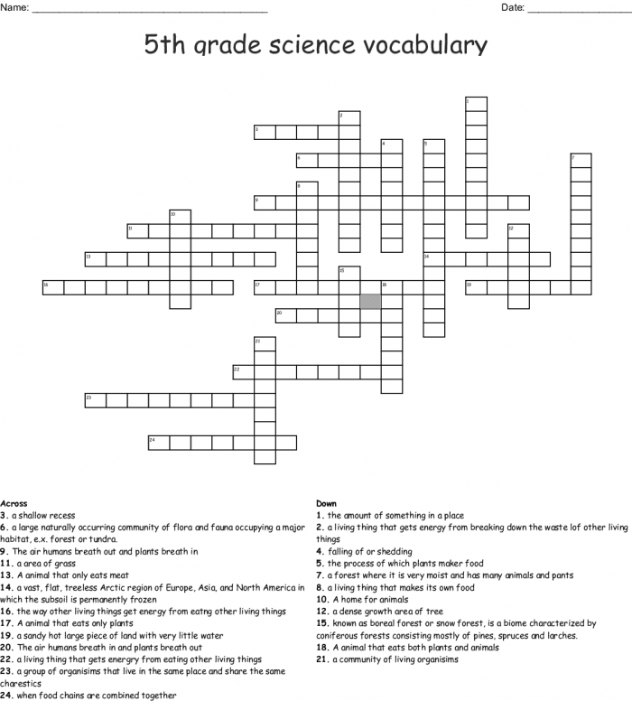 5th Grade Vocabulary Crossword Puzzle worksheet featuring essential words for fifth graders