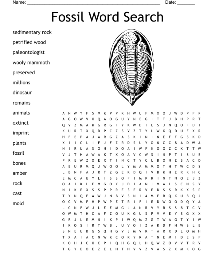 Fossils and extinct animals word search worksheet for fifth graders featuring dinosaurs and other creatures