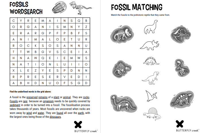 Fossils and extinct animals word search worksheet for fifth graders