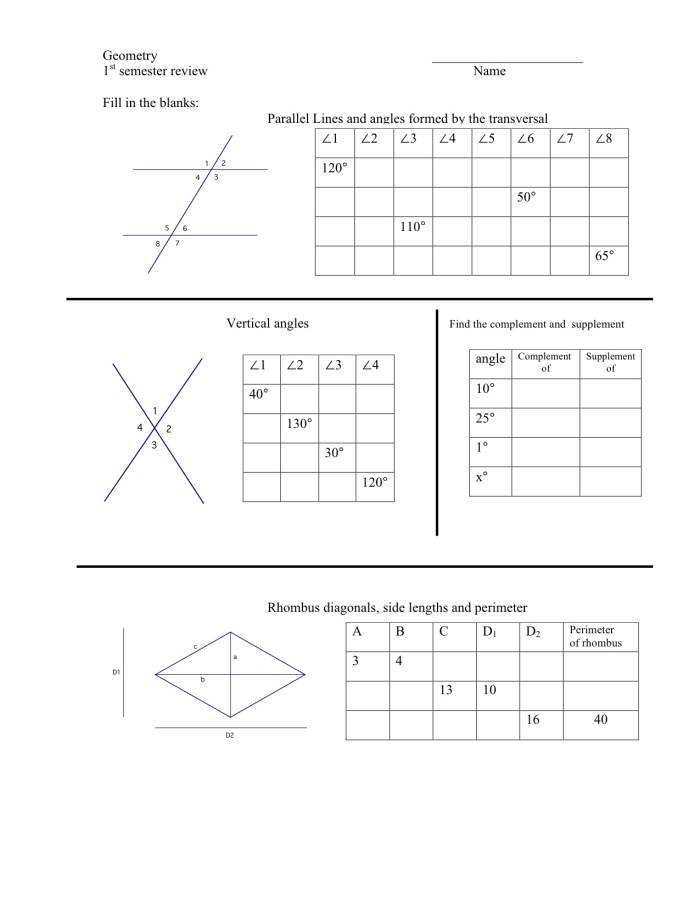 Mixed Geometry Review Worksheet for Fifth Grade Integers and Rational Numbers Topic 23 Fifth grade students solving problems on a mixed geometry review worksheet about polygons and coordinate planes