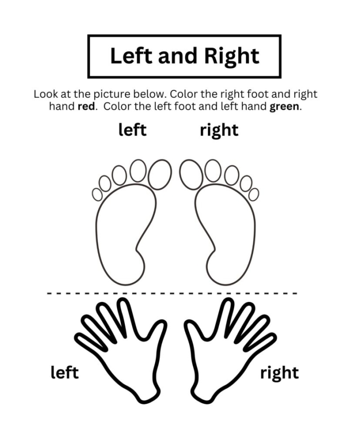 Diagram of a worksheet where fifth graders label bones in the hands and feet