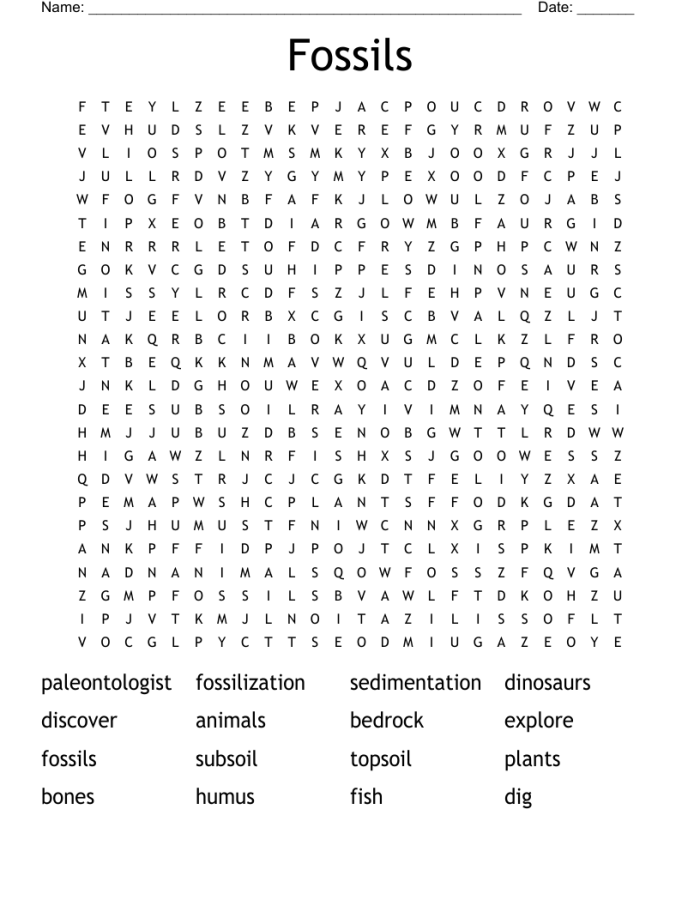 Fossils and extinct animals word search worksheet for fifth graders