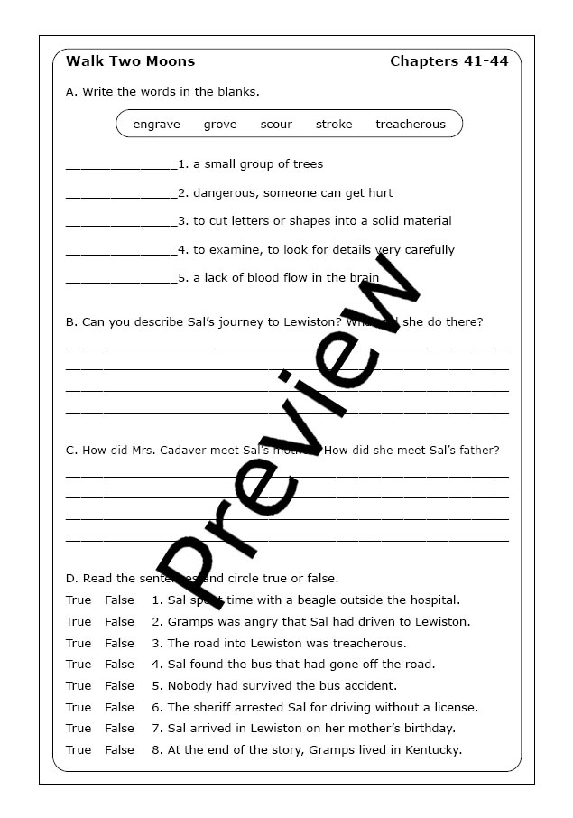 Fifth grade grammar worksheet showing point of view and perspective practice questions based on an excerpt from Walk Two Moons by Sharon Creech