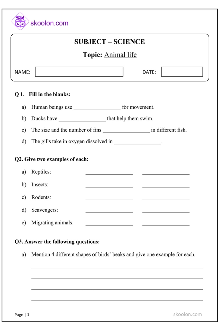 Worksheet designed for 5th graders to enhance their spelling skills with common sight words. Super Spellers worksheet for assessing spelling patterns and frequently misspelled words.