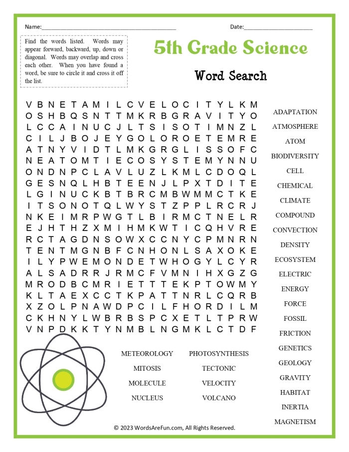 Fifth grade spelling crossword puzzle worksheet for vocabulary practice