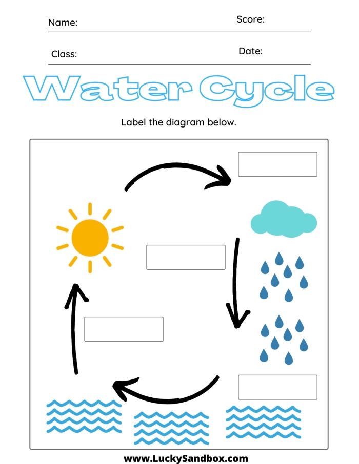 Water cycle matching worksheet designed for fifth grade students to enhance learning