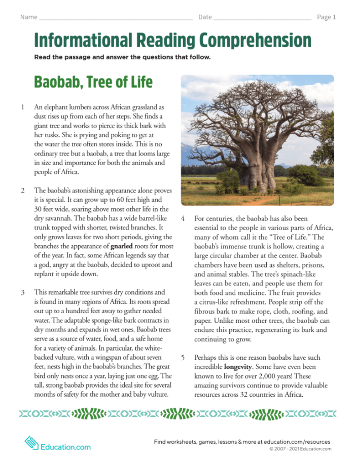 Sixth grade student completing an informational reading comprehension worksheet about the African baobab tree