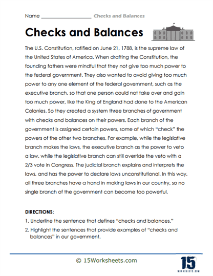 Sixth grade civics worksheet exploring the three branches of government and the system of checks and balances