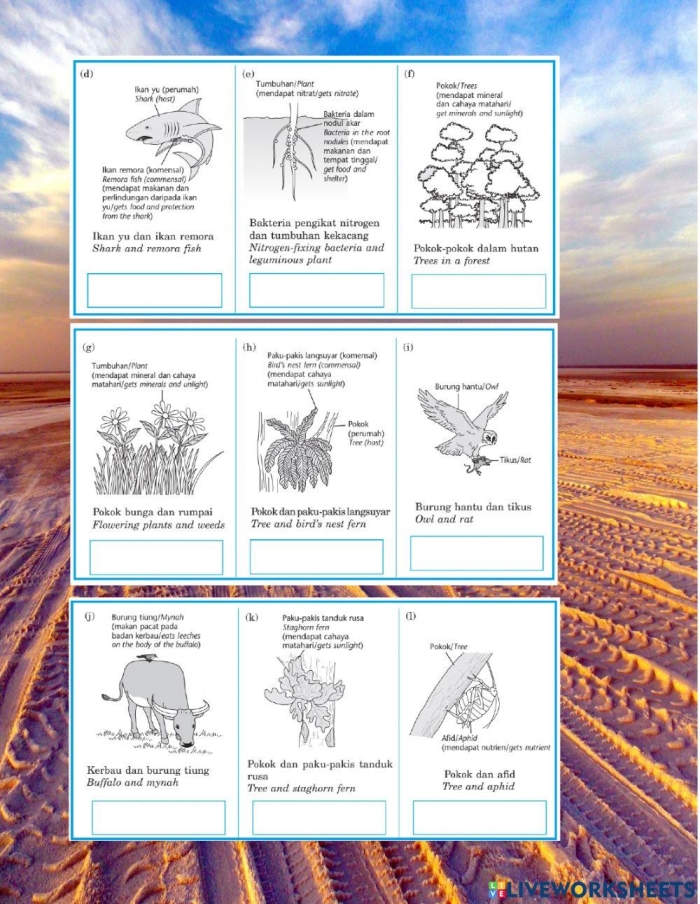 Detailed worksheet on organism interactions in ecosystems for sixth graders
