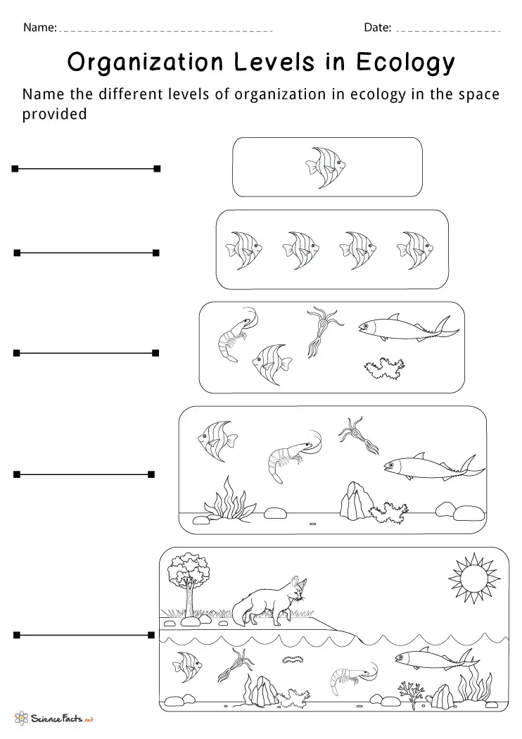 Students collaborating on a Research an Ecosystem worksheet, exploring various ecosystems