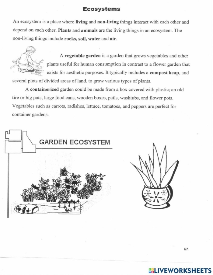 Sixth grade students researching a specific ecosystem to build a model for their life science worksheet