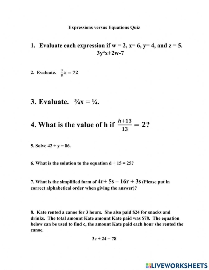 Expression vs. Equation Practice Problems for Middle School Algebra Learners Sixth grade algebra worksheet showing examples of mathematical expressions and equations side by side for students to compare and identify differences