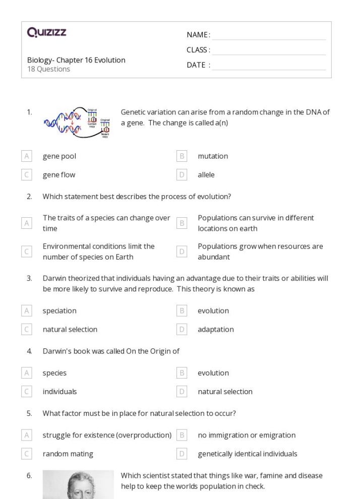 Sixth grade worksheet exploring how genetics and environment shape biological traits