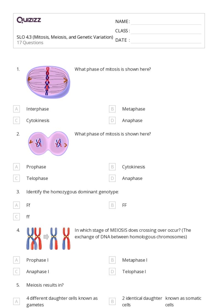 Sixth grade student worksheet showing genetic and environmental factors affecting growth and development with diagrams and questions
