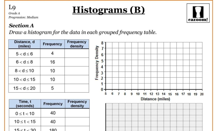 Worksheet featuring histograms to enhance understanding of data distribution for sixth graders