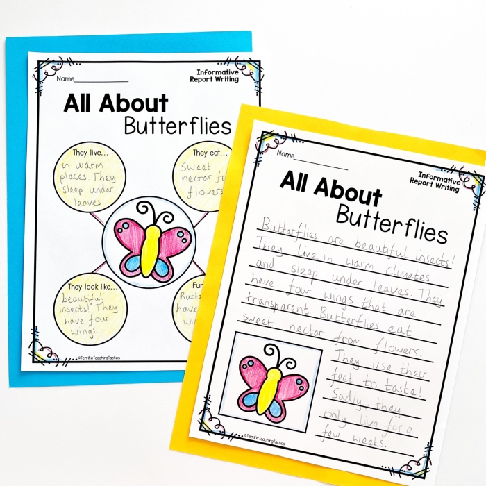 Graphic organizer for sixth grade informational writing planning worksheet