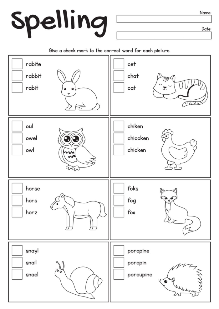 Sixth grade spelling practice worksheet featuring Max at his music recital