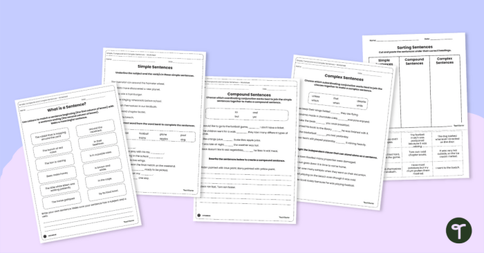 Worksheet for identifying sentence types: simple, compound, complex, or compound-complex. Seventh-grade grammar practice worksheet to enhance sentence structure skills.