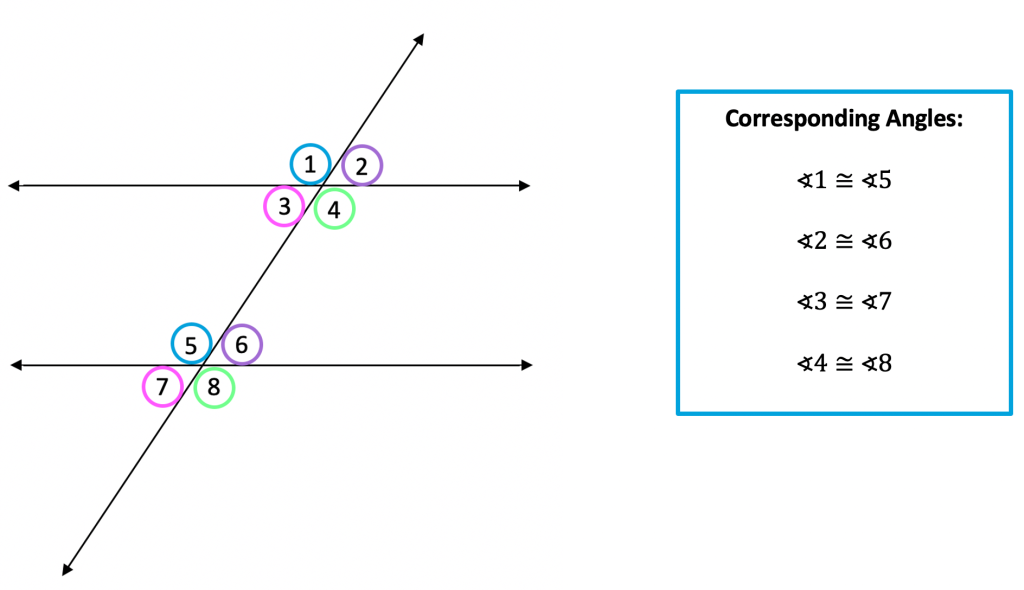 Transversal Lines Cutting Through Parallel Lines Angle Relationships Practice Problem 4 Eighth-grade geometry worksheet showing parallel lines cut by a transversal with corresponding and alternate interior angles labeled