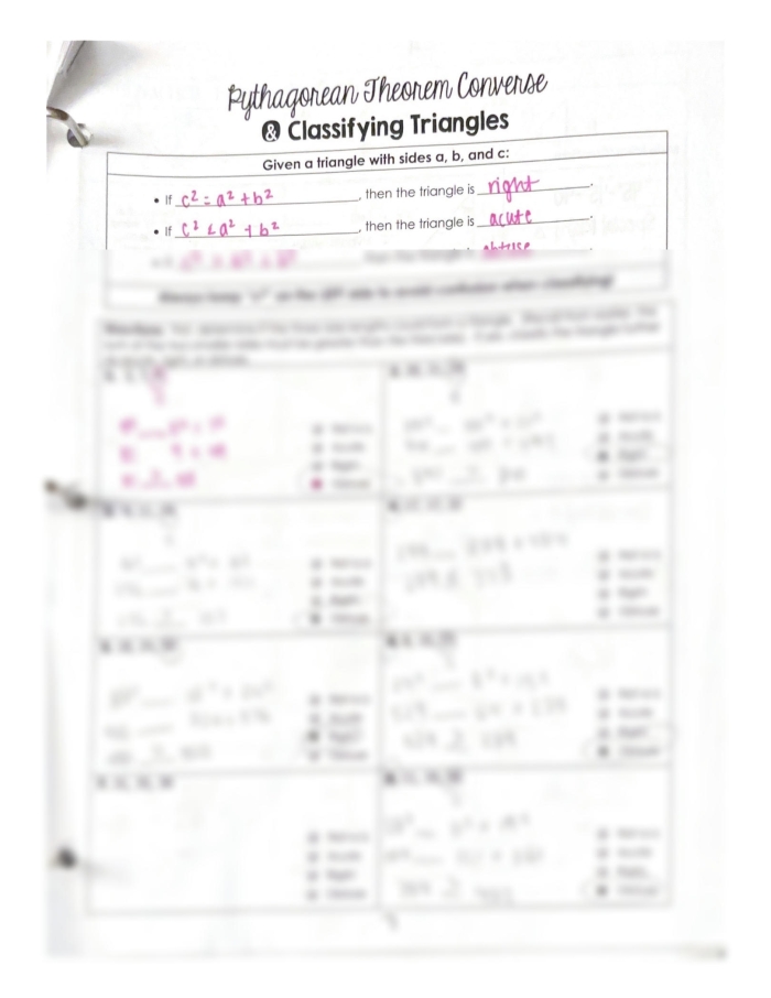 Eighth grade math worksheet focusing on using the converse of the Pythagorean theorem to classify triangles