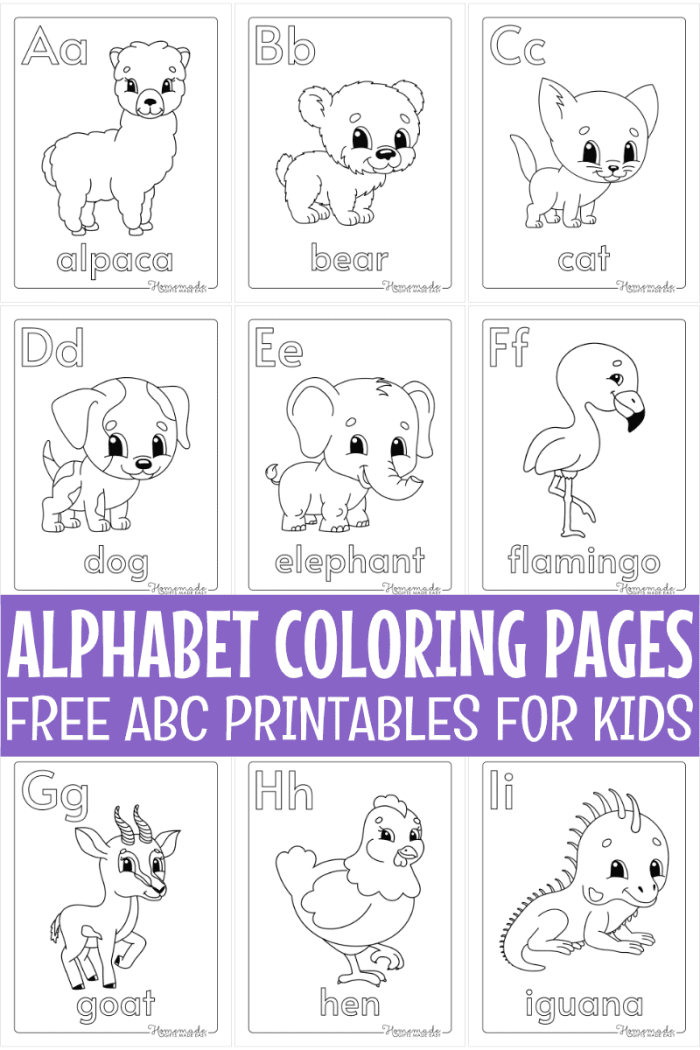 Pre-K student coloring an ABC letter worksheet for a life science alphabet lesson