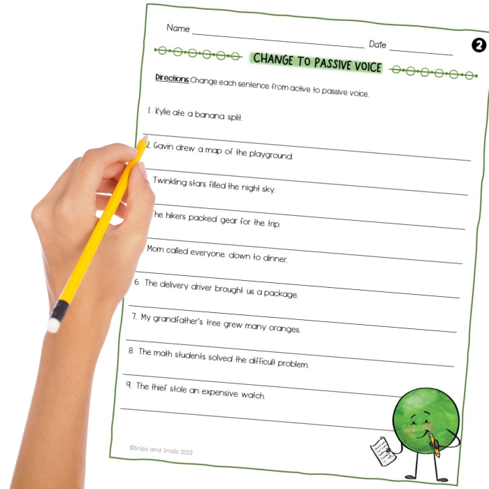 Active and Passive Voice Identification Exercise for Middle School Grammar Eighth grade students identifying active and passive voice in example sentences on a grammar practice worksheet