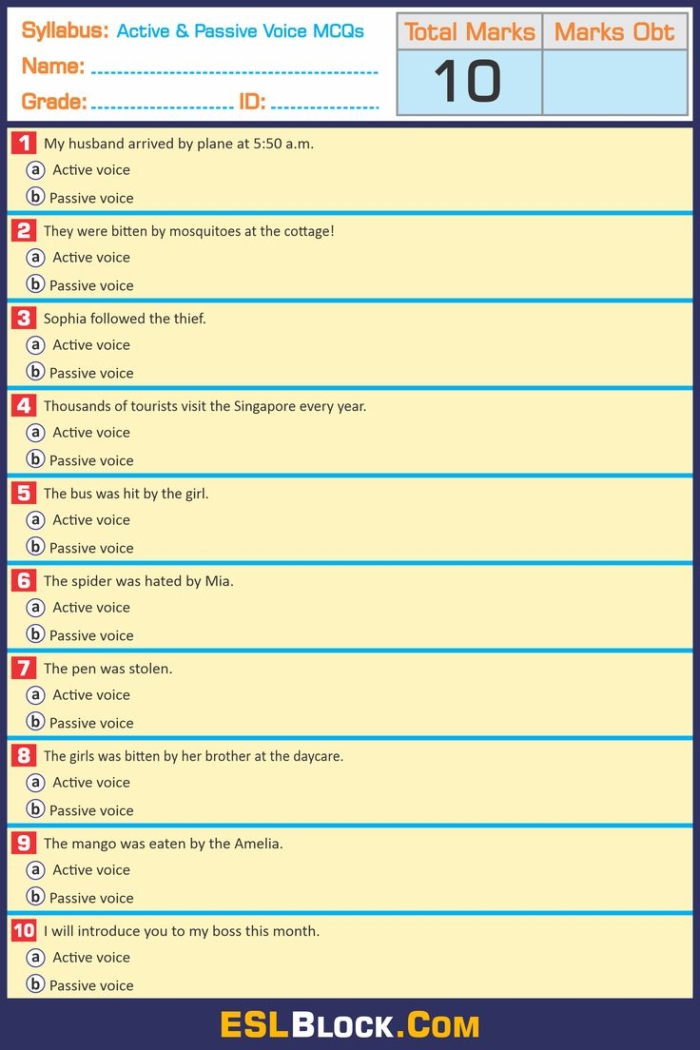 Grammar worksheet exercise 20 showing active versus passive voice sentence examples for middle school learners Eighth grade students identifying active and passive voice in sentences on a grammar practice worksheet