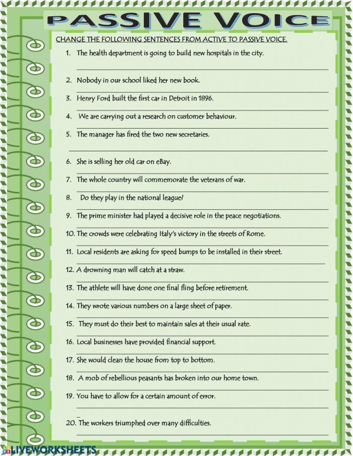 Practice worksheet showing sample sentences for identifying active versus passive voice constructions Eighth grade student completing a grammar worksheet with sentences highlighting active and passive voice examples