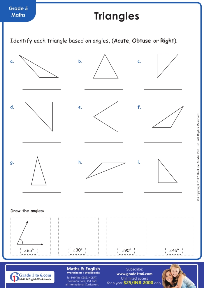 Fourth grade math worksheet showing various triangles for students to identify and classify acute triangles by their angles
