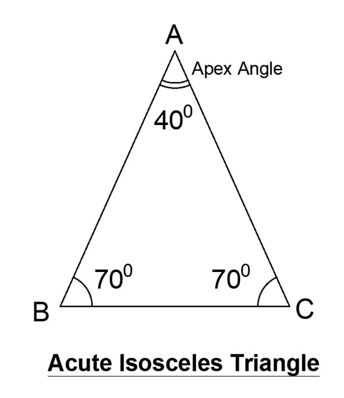 Sixth grade geometry worksheet featuring a collection of acute triangles for students to practice calculating missing base measurements