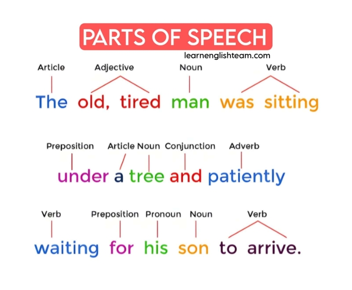 Fifth grade worksheet showing exercises where students identify adjectives and adverbs that describe nouns and verbs in sentences