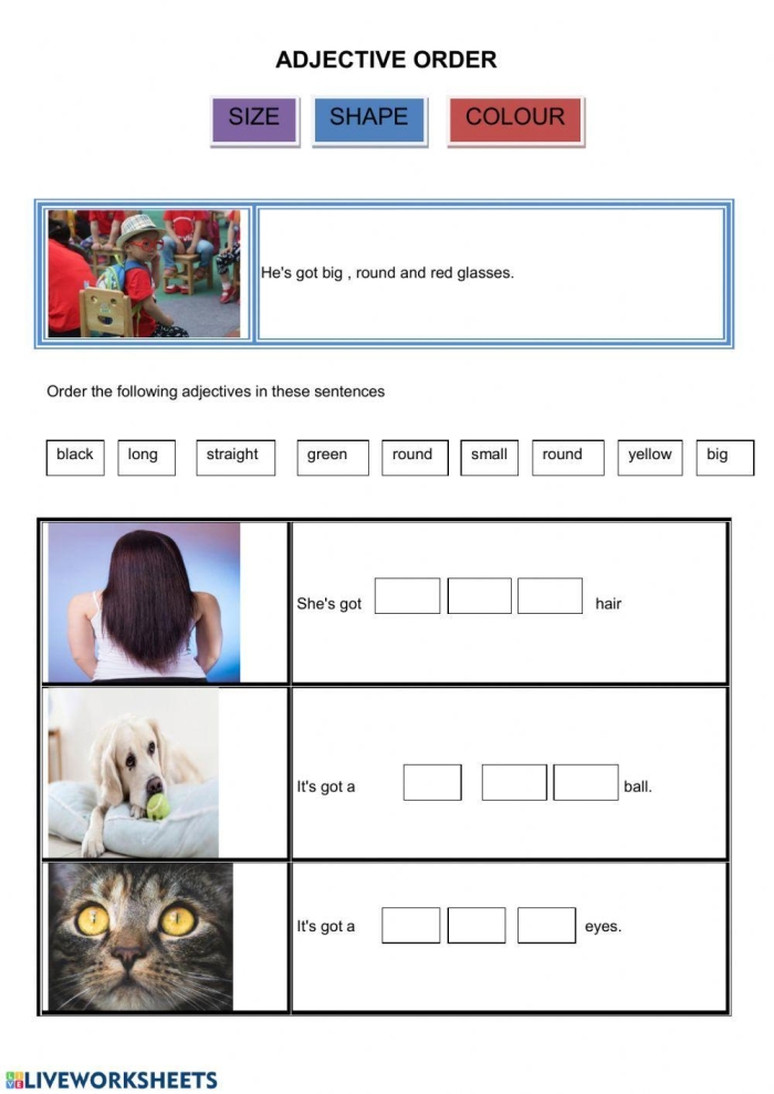 Use the Correct Adjective Order worksheet for grade four measurement unit 18 Fourth grade students practicing adjective order rules on a measurement worksheet