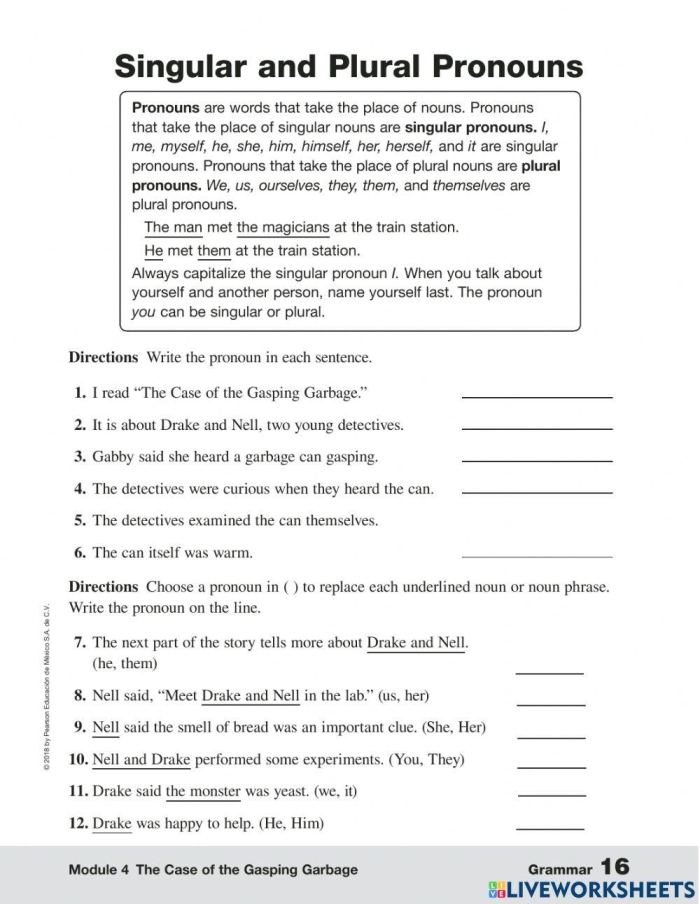Advanced Pronoun Review Worksheet for Sixth Grade Phonics Image 6 Sixth grade student working on an advanced pronoun review worksheet focused on agreement and reflexive usage