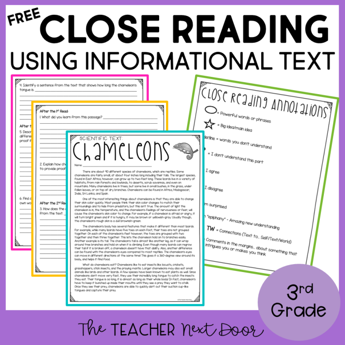 Engaging Informational Text Worksheet for Student Reflection After-Reading Response Choice Board for Life Science in Sixth Grade