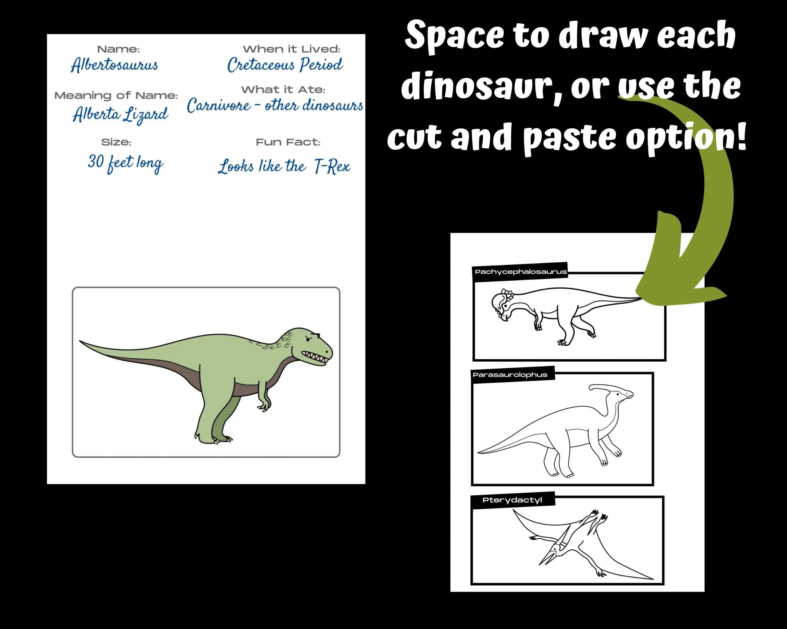 First grade student coloring an Albertosaurus worksheet about dinosaur history