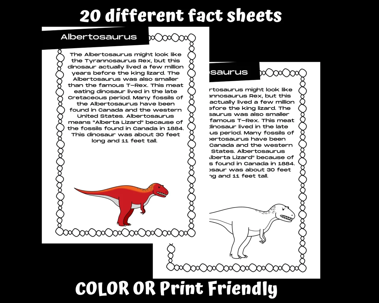 Colorful worksheet featuring an Albertosaurus for first graders to learn and color. Educational activity sheet about the origins and name of the Albertosaurus.