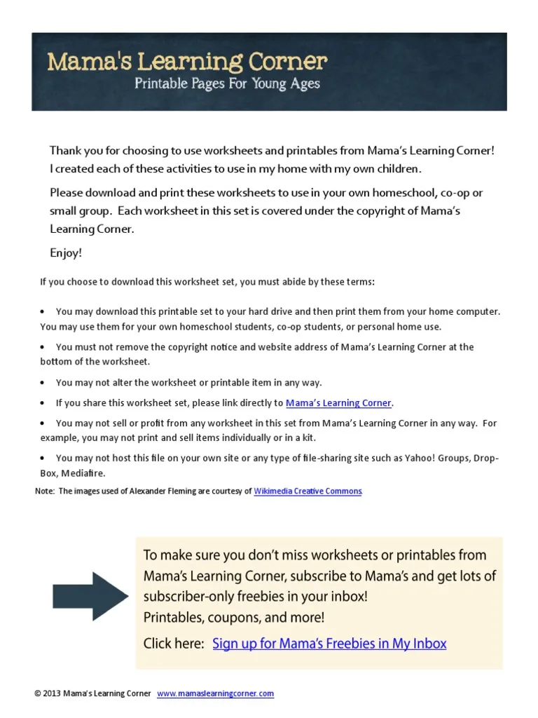 Alexander Fleming worksheet for third graders focusing on his discovery of penicillin