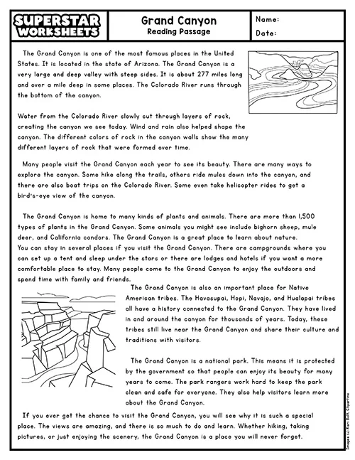 Third grade student reading a comprehension worksheet about Alexis and the Game Show for physical science